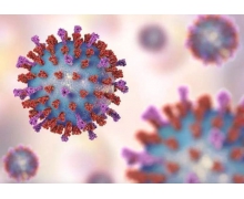 酒精的濃度越高則消毒效果越好這種說法 螞蟻莊