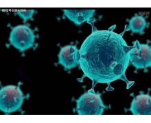 螞蟻莊園3月31日：酒精的濃度越高則消毒效果越