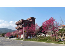 以下那一種天氣狀況更適合花粉過敏者外出踏青