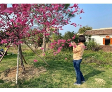 老吾老以及人之老幼吾幼以及人之幼最早出自哪