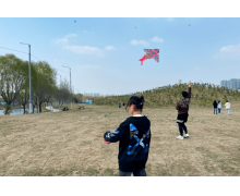 小雞寶寶考考你我國(guó)古代有清明放風(fēng)箏的習(xí)俗，