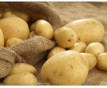 平常看到的馬鈴薯是塊莖還是果實(shí) 螞蟻新村馬鈴