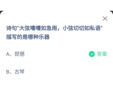 大弦嘈嘈如急雨小弦切切如私語描是哪種樂器 