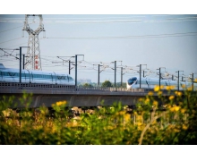 文明露營，營造美麗的風景線