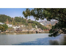 寧波地區保存最完整最大的古建筑群坐落在 螞蟻