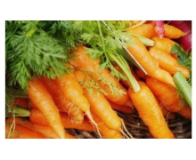 胡蘿卜怎么吃更好吸收 螞蟻莊園4月27日答案最新