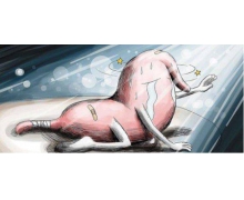 吃完?yáng)|西會(huì)覺(jué)得燒心 胃部心臟螞蟻莊園答案5.2