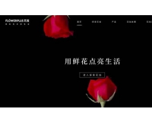 一家鮮花電商是如何做到年銷售額2.3億元的？