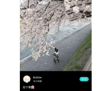 讓春日里的勃勃生機與小美好被更多人看到 Sou