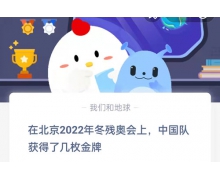 在北京2022年冬殘奧會上中國隊獲得了幾枚金牌