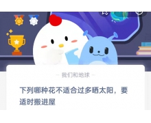 下列哪種花不適合過多曬太陽,要適時搬進屋 螞