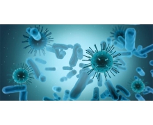 猴痘已在歐洲發(fā)生大規(guī)模社區(qū)傳播 病毒的來(lái)源還