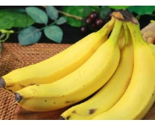 便秘的時(shí)候,吃香蕉真的有用嗎 螞蟻莊園今日答案