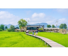 端午假期機(jī)票預(yù)訂量環(huán)比上漲 30%，跨省團(tuán)隊游整