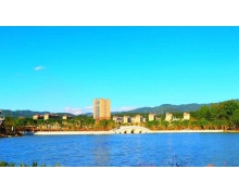 2003年世界首例竹子化石在哪個縣發現 螞蟻新村