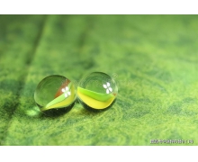 玻璃彈珠里面的花紋是怎么做的 螞蟻莊園玻璃彈