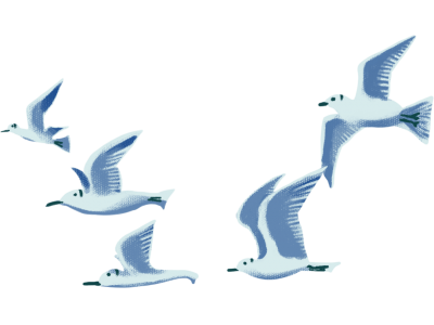 逐夢深藍，激活高質量發展澎湃動能