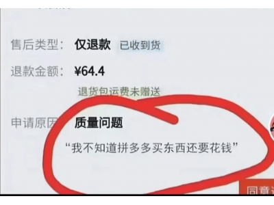 “僅退款”背后的黃崢與拼多多 一個和同行格格