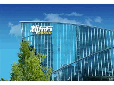 俞敏洪:“卷”會降低中國企業創新能力和空間