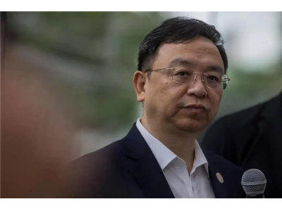 馬斯克的夢想：王傳福要實現了