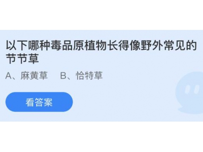 以下哪種毒品原植物長得像野外常見的節(jié)節(jié)草?