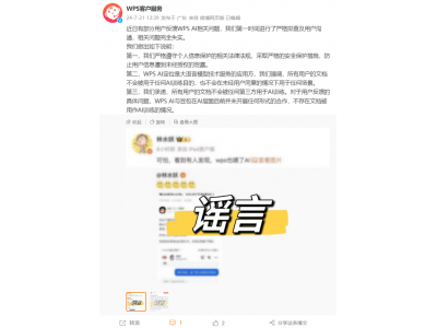 WPS辟謠用戶文檔被用作訓(xùn)練抖音豆包AI：完全失實(shí)