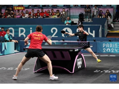 讓飯圈文化遠離乒乓球,該給戴個緊箍咒了