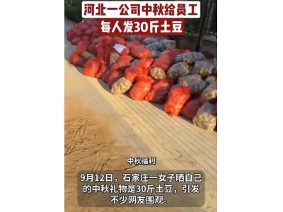 公司中秋節每人發30斤土豆:員工看到后吃驚 不