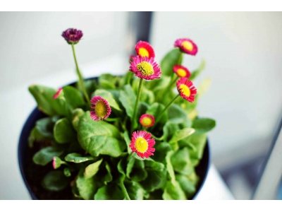 瓦日鐵路集中修為能源運輸提供堅實保障