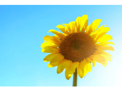 動(dòng)力電池鐵路運(yùn)輸試點(diǎn)：開(kāi)啟綠色高效物流新篇