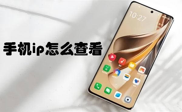 手機ip怎么查看