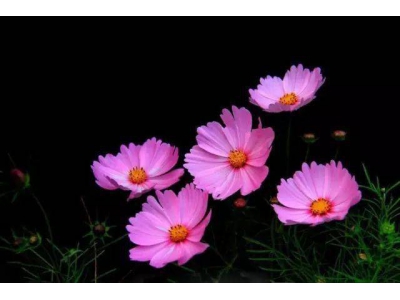 全國鐵路青年新聞寫作大賽：書寫青春，展現(xiàn)鐵