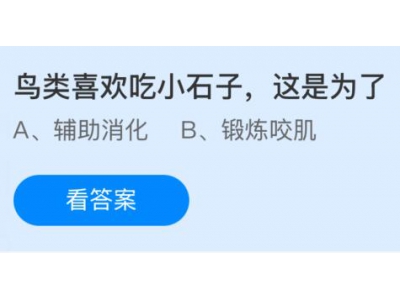 鳥類喜歡吃小石子這是為了干什么?螞蟻莊園1