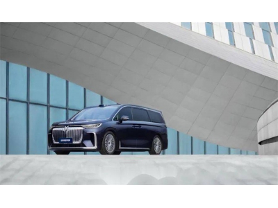 嵐圖汽車逆勢增長背后:硬核技術與高效管理并