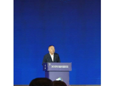 商務(wù)部原副部長陳健：汽車行業(yè)需破內(nèi)卷，新能