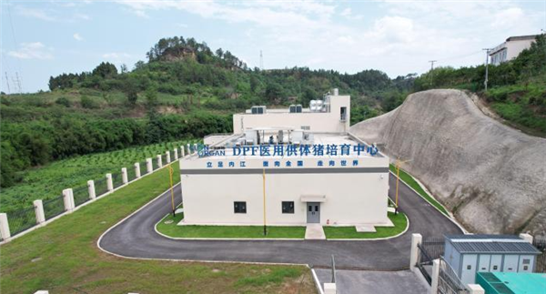 破紀錄!我國基因編輯豬腎異種移植患者存活超百日