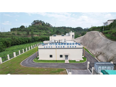 破紀錄!我國基因編輯豬腎異種移植患者存活超