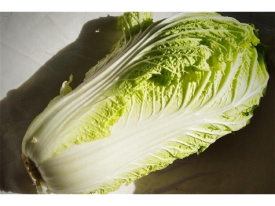 韓國“金菜危機”今年或卷土重來 去年一棵白菜