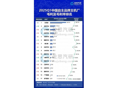 2025Q1中國車企毛利榜出爐:比亞迪領跑,小米賽