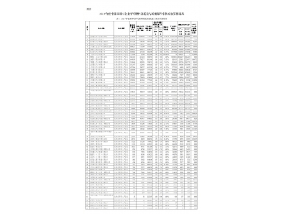 2024中國乘用車企業“雙積分”成績單出爐:230