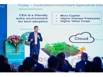 拼多多“千億扶持”助力農研創新 2025全球農創客