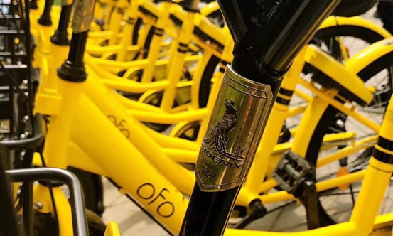 共享單車專業委員會成立 ofo助推供給側結構性改革