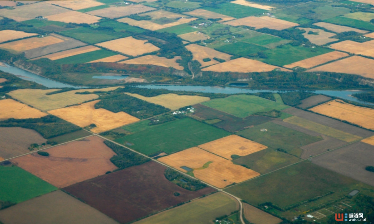 以圖像定位分析農(nóng)作物減輕農(nóng)民負擔，Ceres Imaging獲500萬美元A輪融資 ...