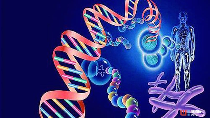 切入糖尿病防控,藥慧通以全基因檢測和人工智能打造精準診療服務 ...