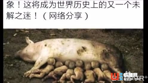 Oculus展示新的VR顯示技術(shù) 可大幅提高清晰度