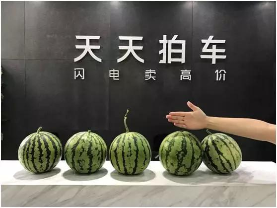 “拍瓜”大戰背后：小巨頭的不同模式之爭