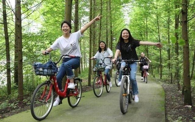 共享單車陸續(xù)進(jìn)軍農(nóng)村 是新藍(lán)海還是老套路?