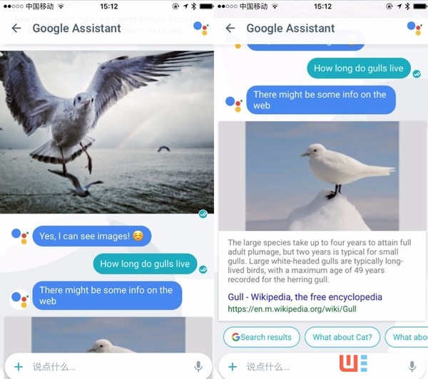 為什么說在AI這件事上,谷歌開了小差?