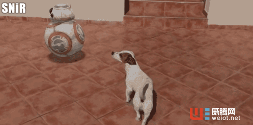 你還玩不到的iOS 11增強現實功能 開發者們早已經玩瘋了