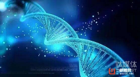 鈦媒體Pro創投日報:6月15日收錄投融資項目19起,醫療健康獨占鰲頭 ...